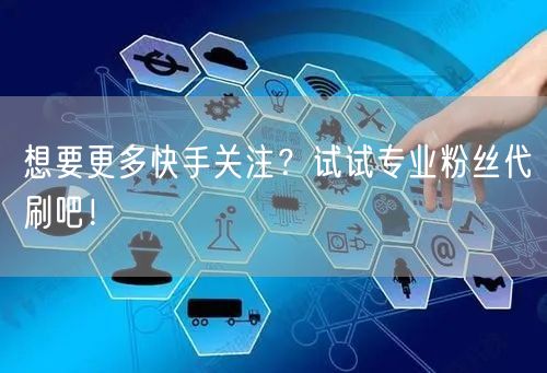 想要更多快手关注?试试专业粉丝代刷吧!