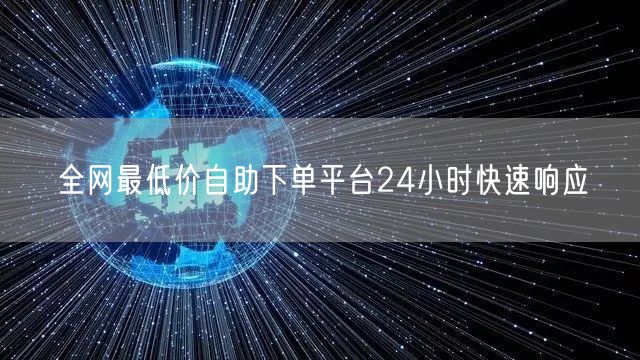 全网最低价自助下单平台24小时快速响应