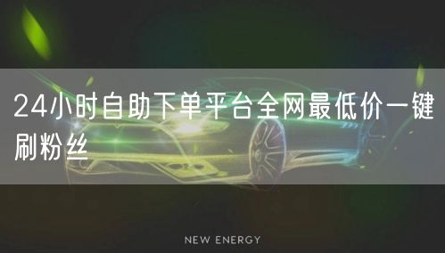 24小时自助下单平台全网最低价一键刷粉丝