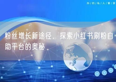 粉丝增长新途径,探索小红书刷粉自助平台的奥秘