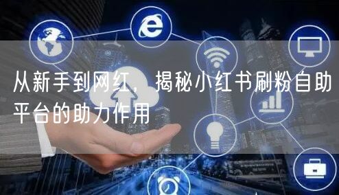 从新手到网红,揭秘小红书刷粉自助平台的助力作用