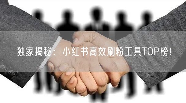 独家揭秘:小红书高效刷粉工具TOP榜!