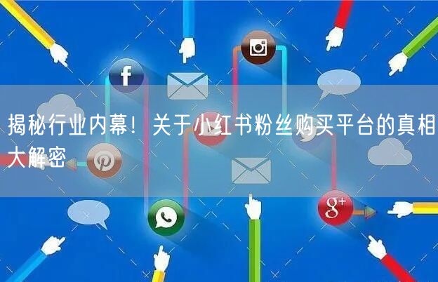 揭秘行业内幕!关于小红书粉丝购买平台的真相大解密