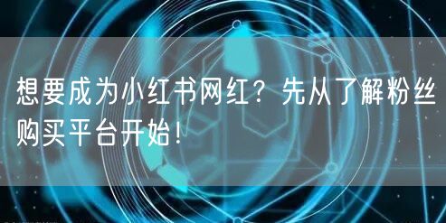 想要成为小红书网红?先从了解粉丝购买平台开始!