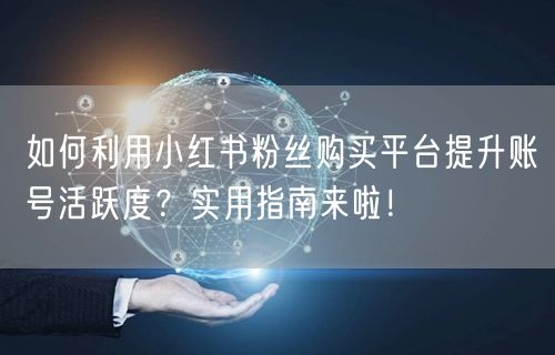 如何利用小红书粉丝购买平台提升账号活跃度?实用指南来啦!