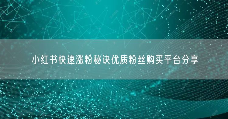 小红书快速涨粉秘诀优质粉丝购买平台分享