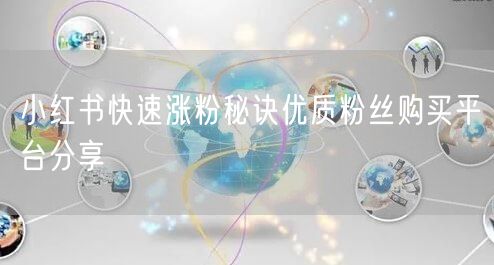 小红书快速涨粉秘诀优质粉丝购买平台分享